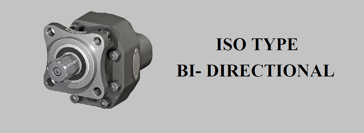 25 Group Gear Pump